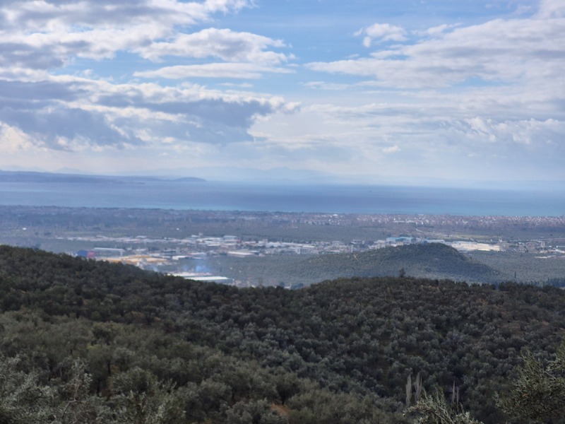 Edremit Ortaoba Mah`daZeytinlik. - 20